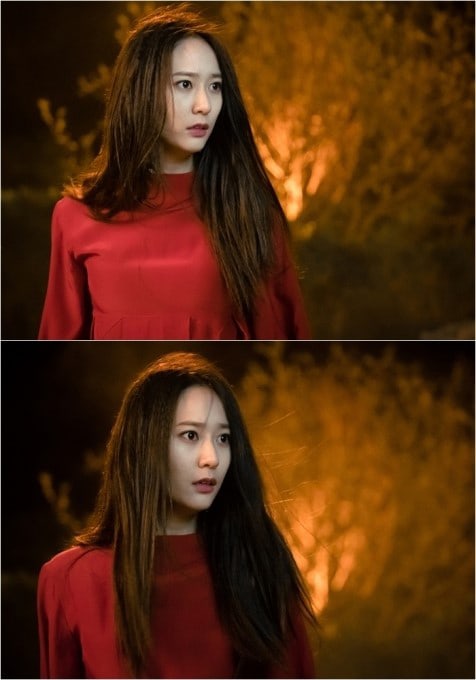 he lo hinh anh dep me hon cua krystal, khan gia lo ngai shin se kyung bi lep ve trong phim “co dau thuy than” - hinh anh 6