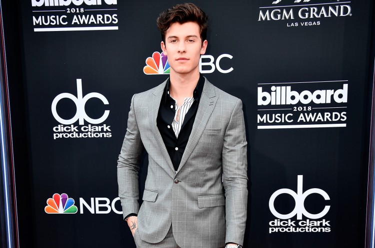 Liên tục “thả thính” nhau liệu Shawn Mendes và BTS sẽ có màn kết hợp trong tương lai? - image 1