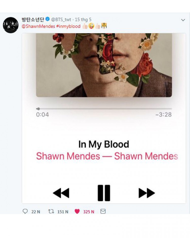 Liên tục “thả thính” nhau liệu Shawn Mendes và BTS sẽ có màn kết hợp trong tương lai? - image 3