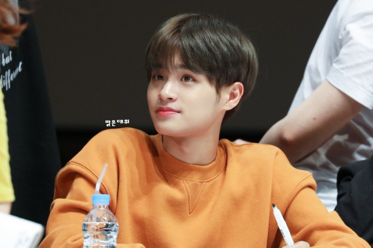 WANNA ONE’s Lee Dae Hwi thật sự đã viết lời bài hát này sao? - image 1