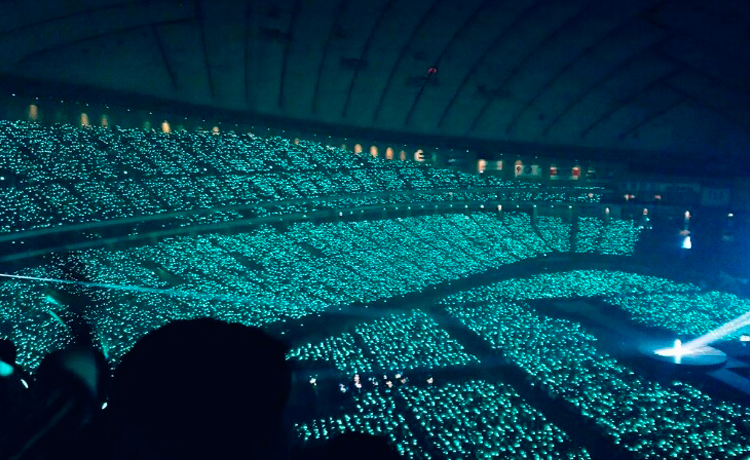 Biển sóng lightstick tại concert luôn là niềm tự hào của các fandom Hàn~ - image 37