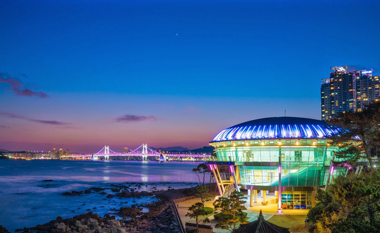 Vào mùa Hè chỉ có Busan!! Tour ngắm cảnh đêm Busan - image 8