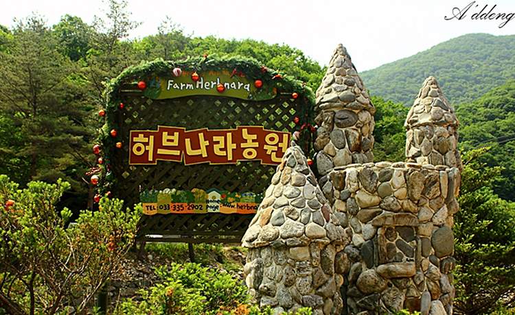 Tuần trăng mật lãng mạn và rực rỡ ở Bongpyeong Gangwon - image 13