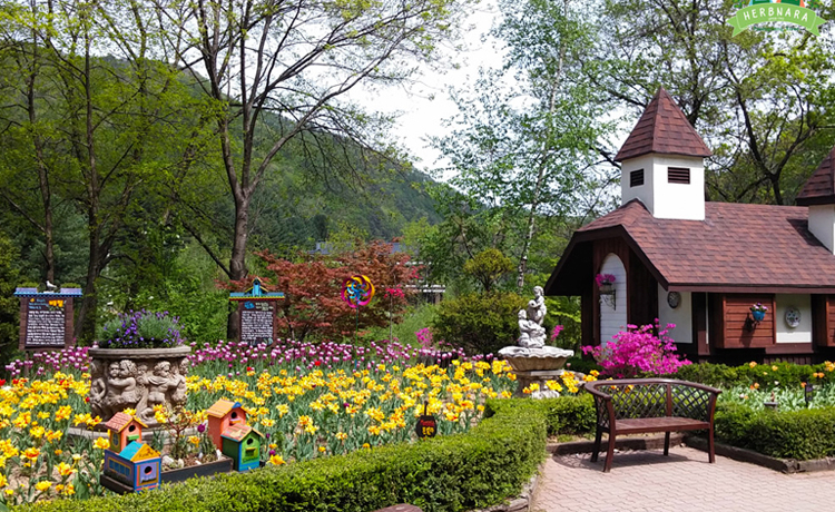 Tuần trăng mật lãng mạn và rực rỡ ở Bongpyeong Gangwon - image 15