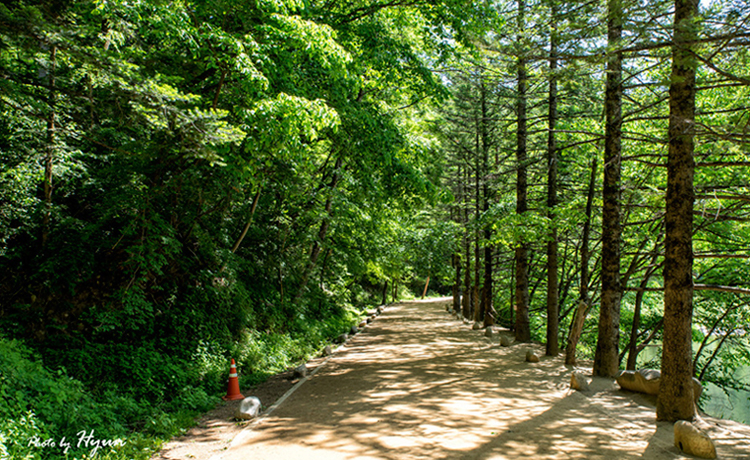 Tuần trăng mật lãng mạn và rực rỡ ở Bongpyeong Gangwon - image 20