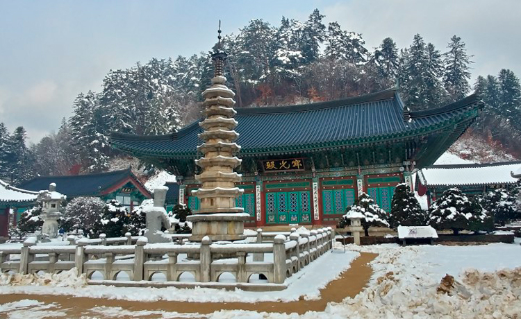 Tuần trăng mật lãng mạn và rực rỡ ở Bongpyeong Gangwon - image 21