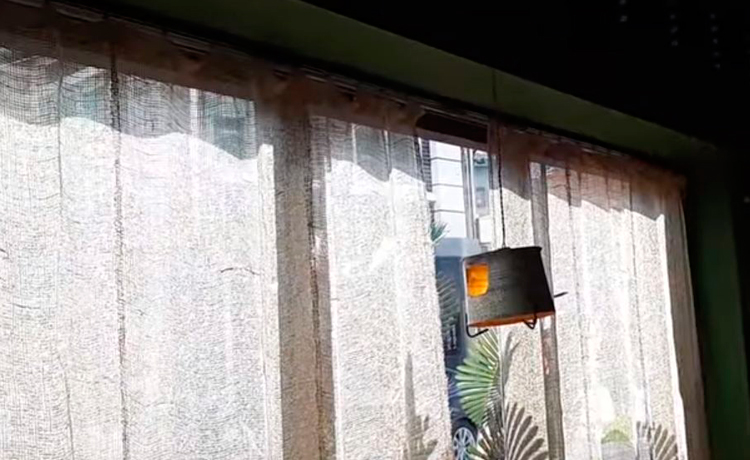 Cộng Cà Phê có sức hút thế nào đối với người Hàn - image 26