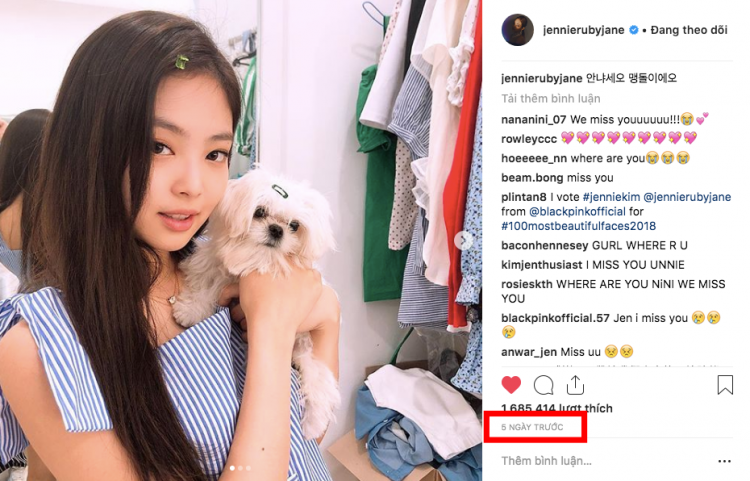 Jennie đột nhiên mất tích mọi thông tin đều là con số 0 fan lo lắng tra hỏi Jisoo truy tìm Jennie - image 3