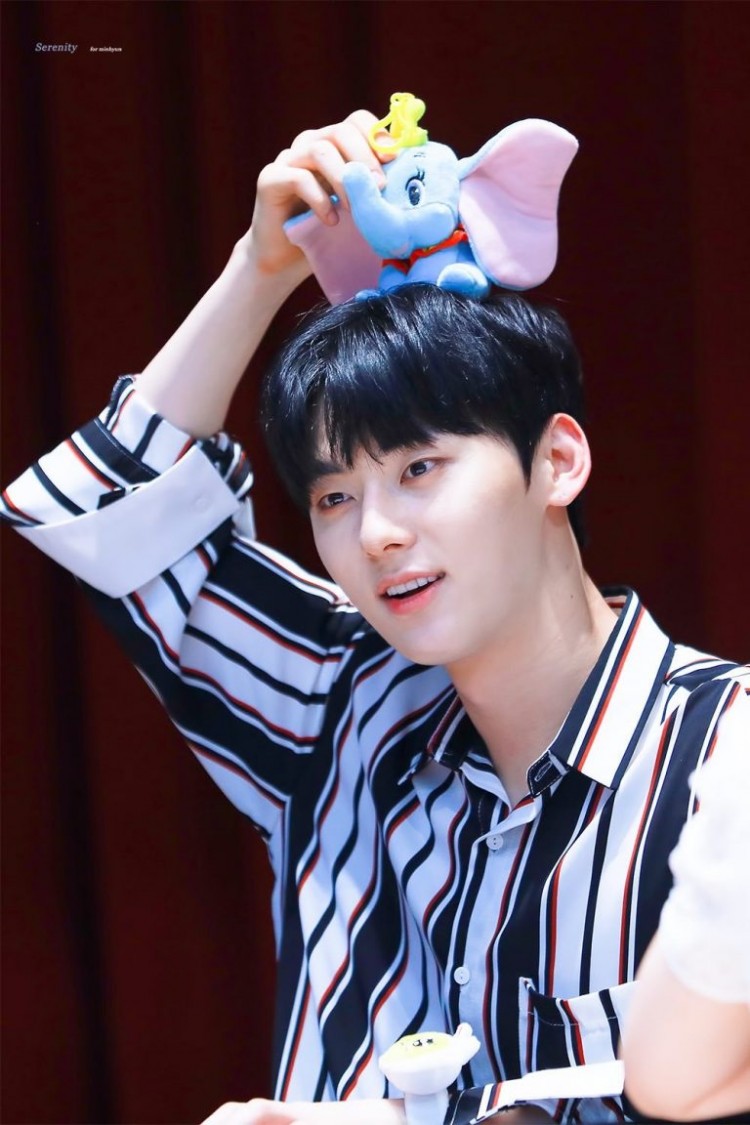 HwangMinHyun WannaOne tuổi thơ bất hạnh không biết voi có 1 tình yêu mãnh liệt với 1 động vật  - image 2