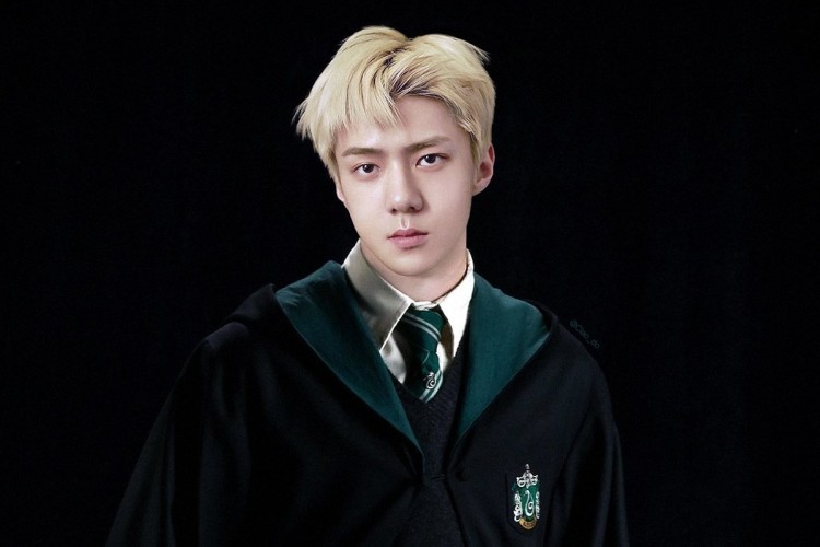 Slytherin  - image 3