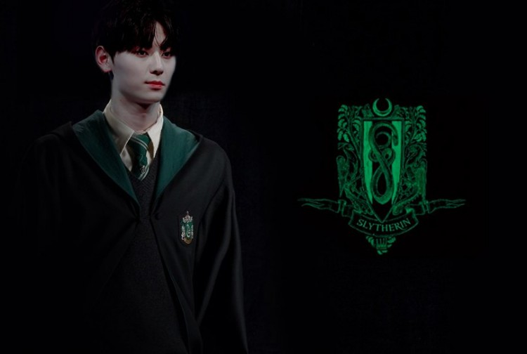 Slytherin  - image 4