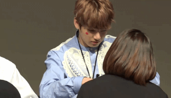 Idol Fan  - image 10
