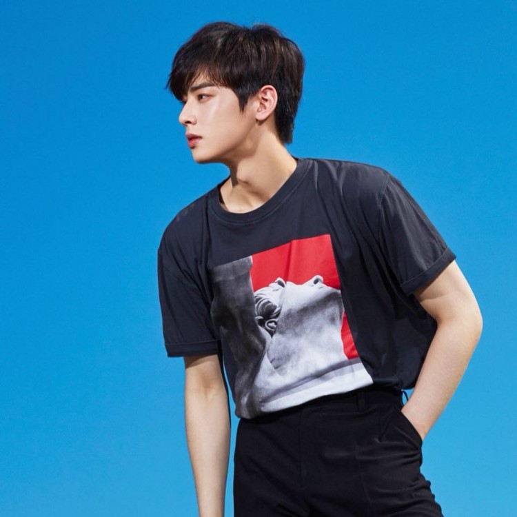 Danh hiệu ‘Thiên tài sắc đẹp’  ‘body nóng bỏng’ năm 2019 thuộc về idol nam – nữ nào đây  - image 1