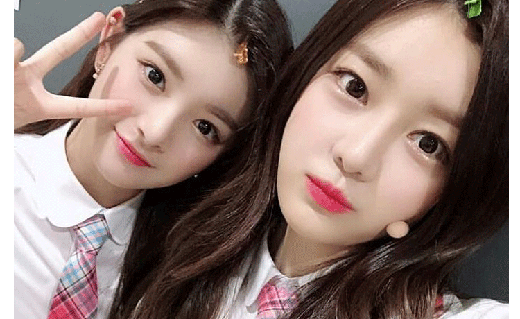 produce 48 - image 3