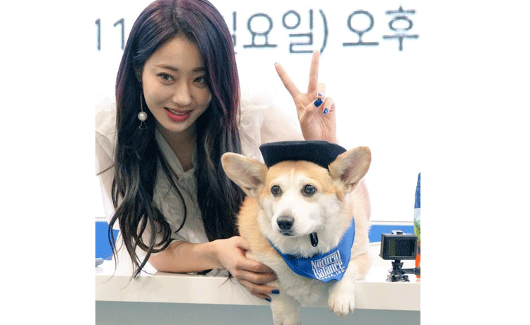TMI dù chẳng quan trọng nhưng nếu biết thì sẽ thấy các nữ idol siêu đáng yêu - image 1