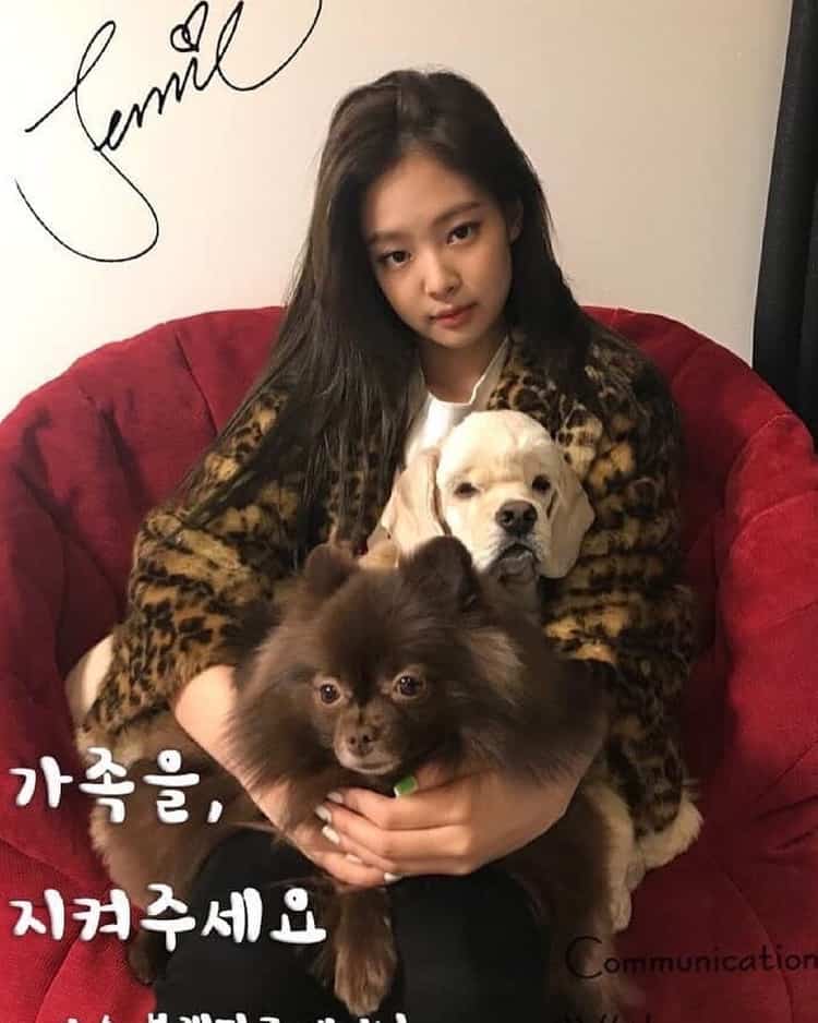 JennieBLACKPINK hắc não Blink khi làm chuyện khó hiểu với chú chó nhà người ta - image 4