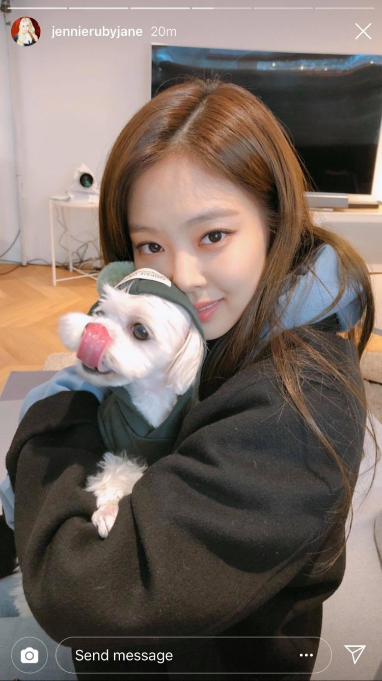 JennieBLACKPINK hắc não Blink khi làm chuyện khó hiểu với chú chó nhà người ta - image 8