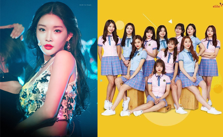 Không phải ai cũng vui việc IOI trở lại fan Chungha khó chịu vì thần tượng quá trung thành - image 2