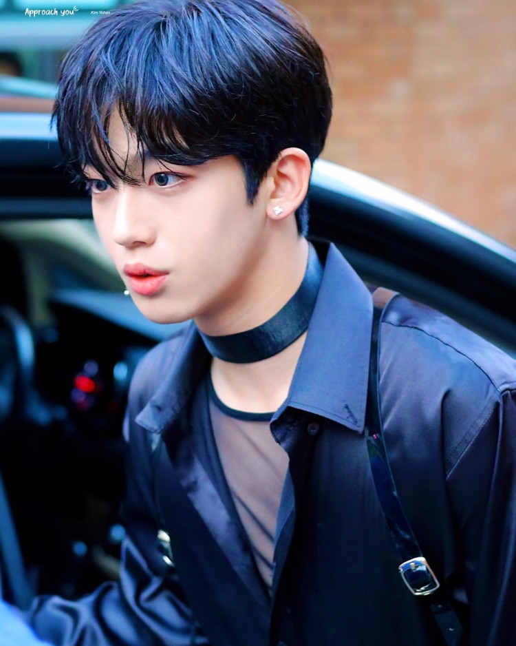 Kim Yohan chưa debut đã trở thành idol TTS đầu tiên của PDX101 nhận được xe đồ ăn  - image 2