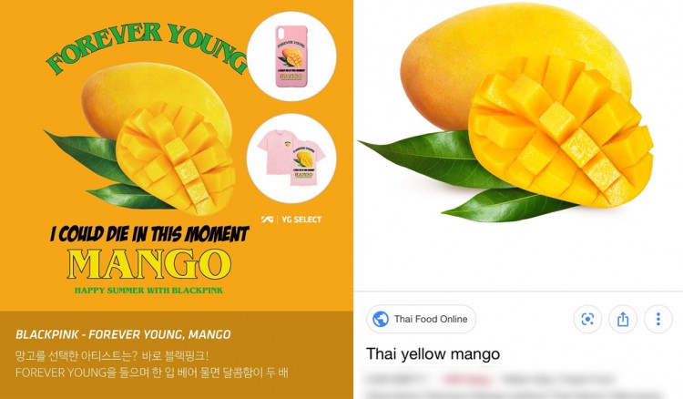 YG lấy hình free trên mạng làm goods đã thế còn màu mè như mâm ngũ quả ô hay cô bé thay đổi quá - image 1