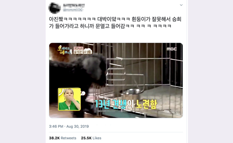 Seunghee Oh My Girl nổi lên nhờ vào cách huấn luyện chó điêu luyện như một đứa trẻ  - image 3