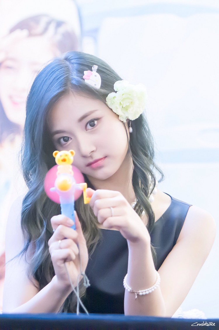 twice - image 15