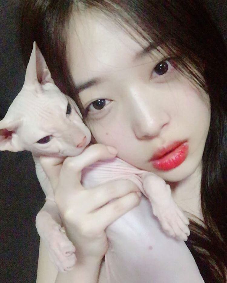 Sulli qua đời đã để lại cho HeechulSuJu một thứ rất quan trọng và nhờ anh thay mình chăm sóc nó - image 1